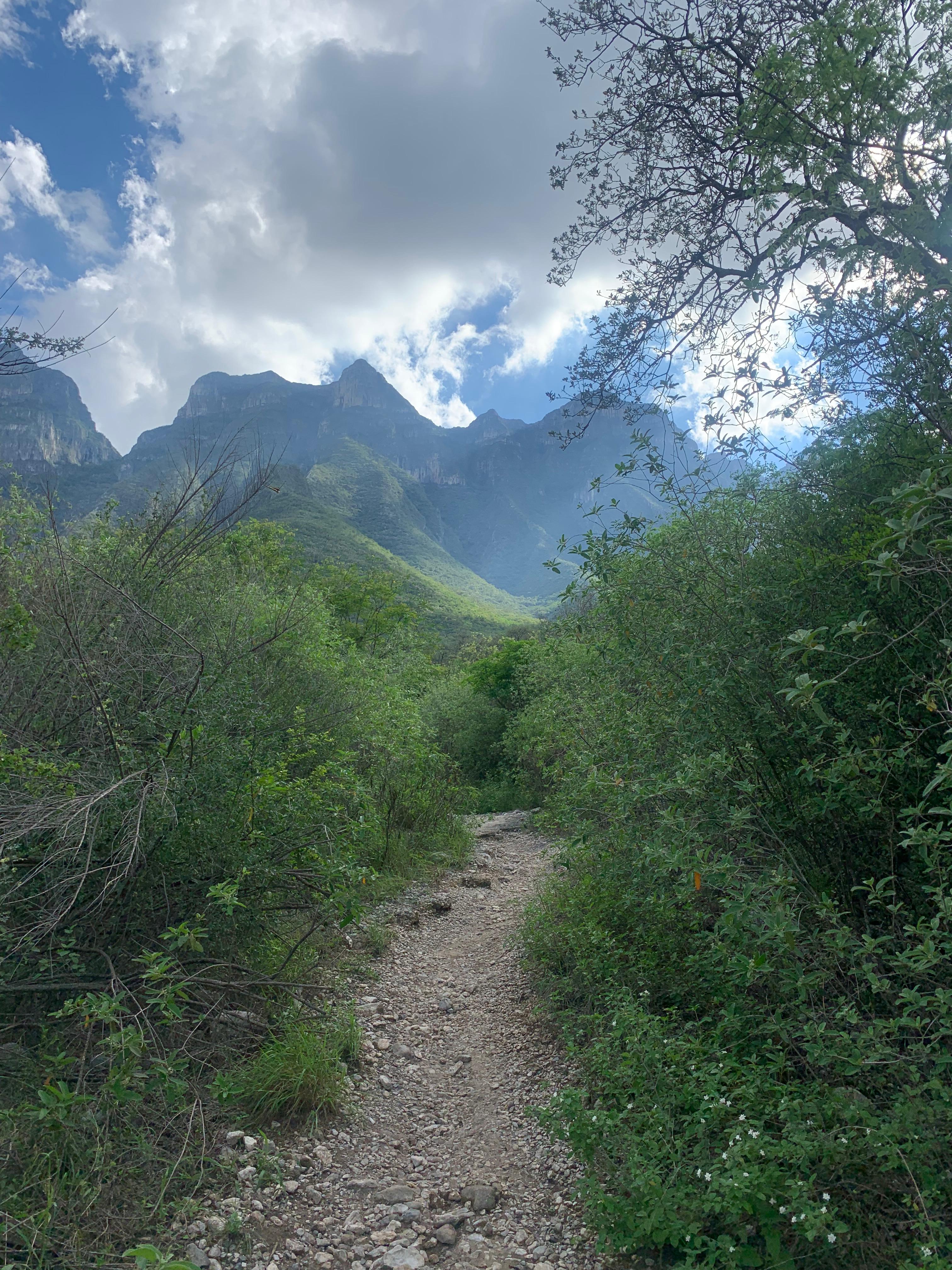 Introducción: el Cerro de las Mitras