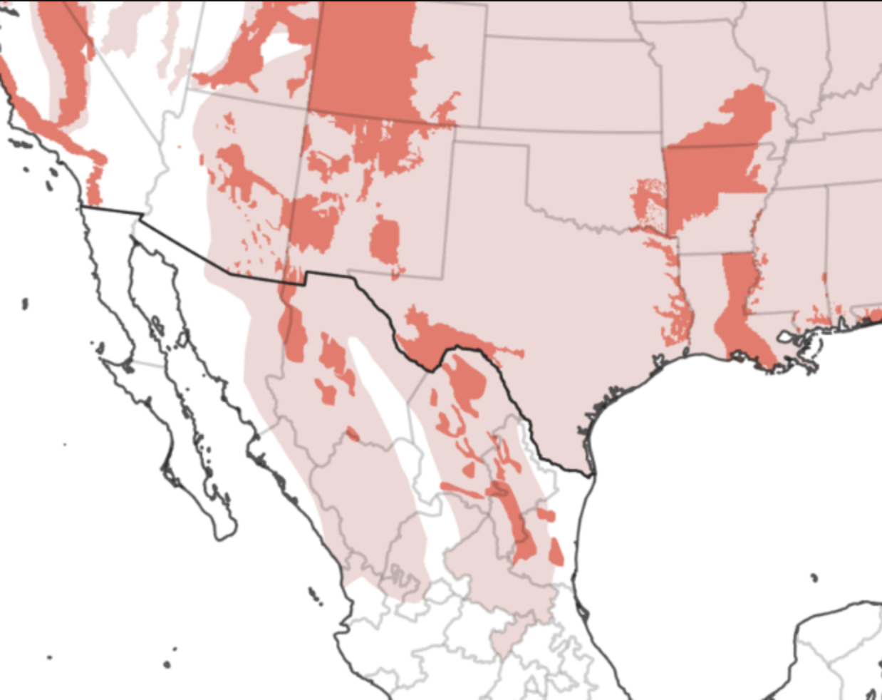 ¿Dónde viven los osos en Nuevo León?